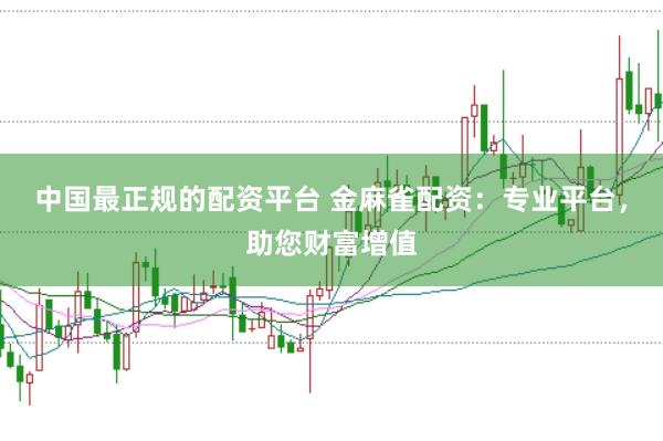 中国最正规的配资平台 金麻雀配资：专业平台，助您财富增值