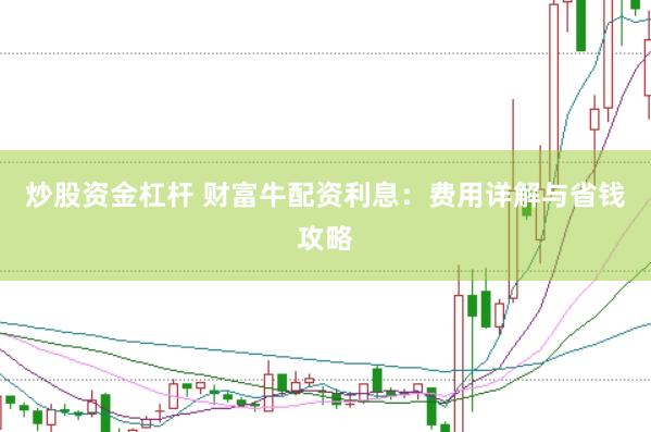 炒股资金杠杆 财富牛配资利息：费用详解与省钱攻略