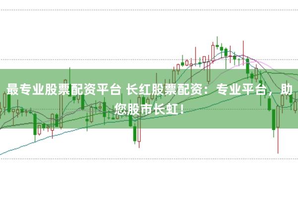最专业股票配资平台 长红股票配资：专业平台，助您股市长虹！