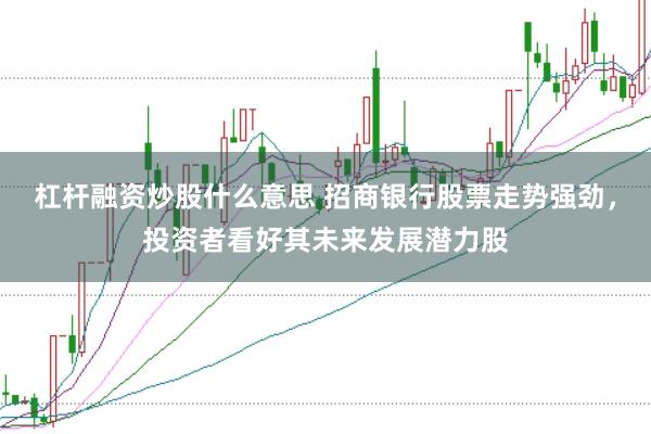 杠杆融资炒股什么意思 招商银行股票走势强劲，投资者看好其未来发展潜力股